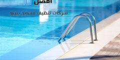 أفضل 10 شركات تنظيف مسابح بينبع