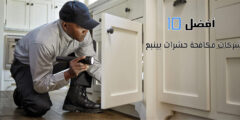 أفضل 10 شركات مكافحة حشرات بينبع