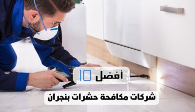 أفضل 10 شركات مكافحة حشرات بنجران