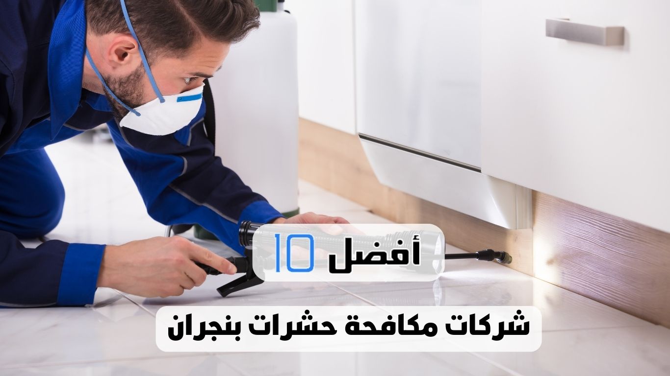 أفضل 10 شركات مكافحة حشرات بنجران