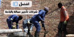 أفضل 10 شركات تأجير عمالة بالباحة